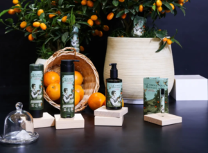 美學盛宴正當時｜2026 上海酒店展開展第二日，精彩持續升溫